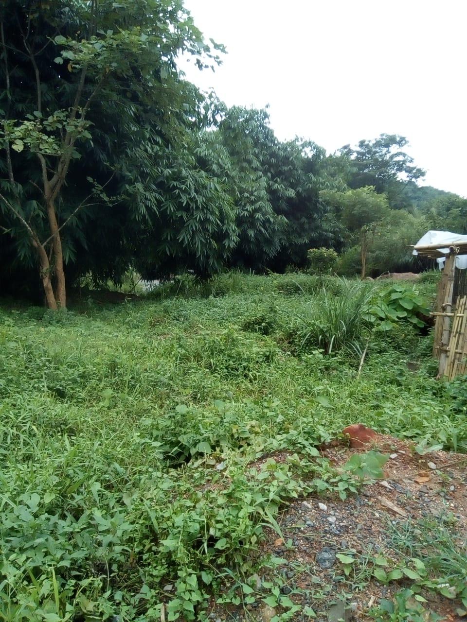 C:\Users\Lavinia Pde\Pictures\Camera Roll\IMG-20220713-WA0006.jpg